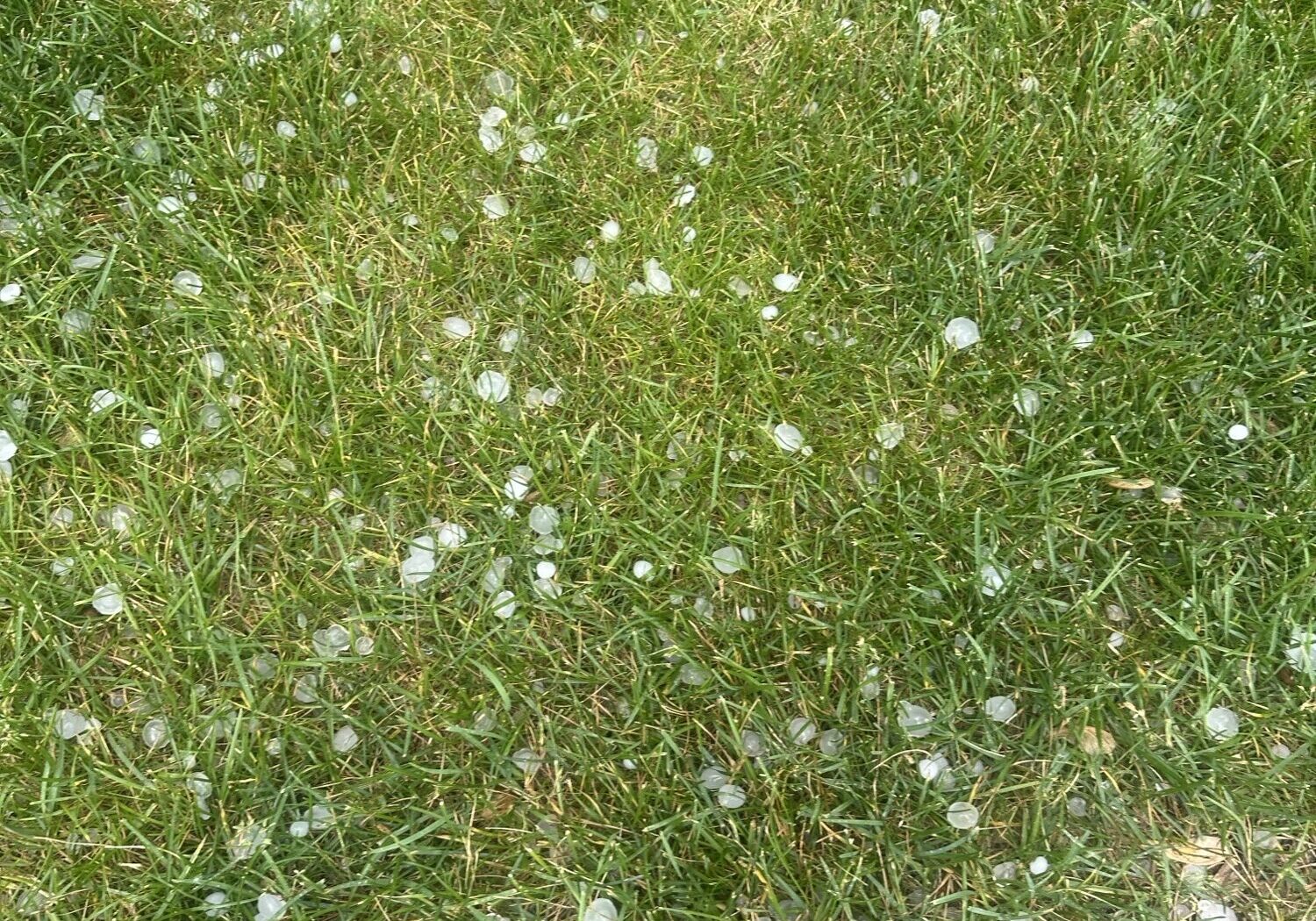 Hail covering grass in Chisago City MN after the June storm