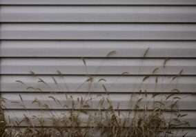 Siding, plastic panels texture closeup in the daytime outdoors