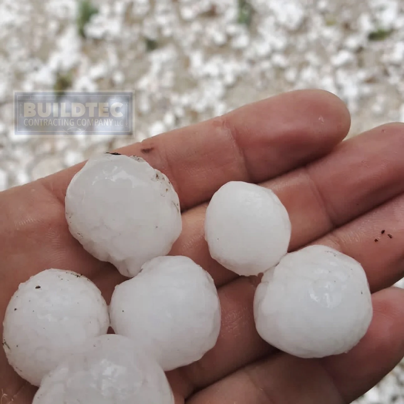 Hail in hand for size reference in Roseville
