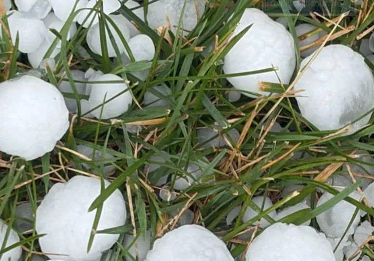 Hail in Roseville-MN